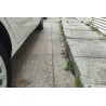 Ford Fiesta 2014 Hatchback 1.0 GTDi Automático Sport (Usado)