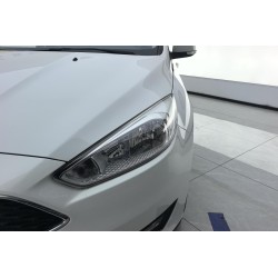 Ford Focus 2015 Hatchback 1.6L Automatic Trend (Used)