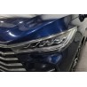 BYD Song MAX 2018 1.5T Automatik Connected Luxus 6 Sitze (Gebrauchtwagen)