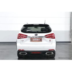 BYD Tang DM 2015 DM 2.0T 4WD Flagship (Used)