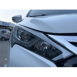 BYD Qin DM 2015 1.5T Doble campeón Buque insignia Plus (Usado)